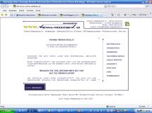 Layout von www.vienna-webdesign.at welches von Mitte 2006-Mitte 2008 online war